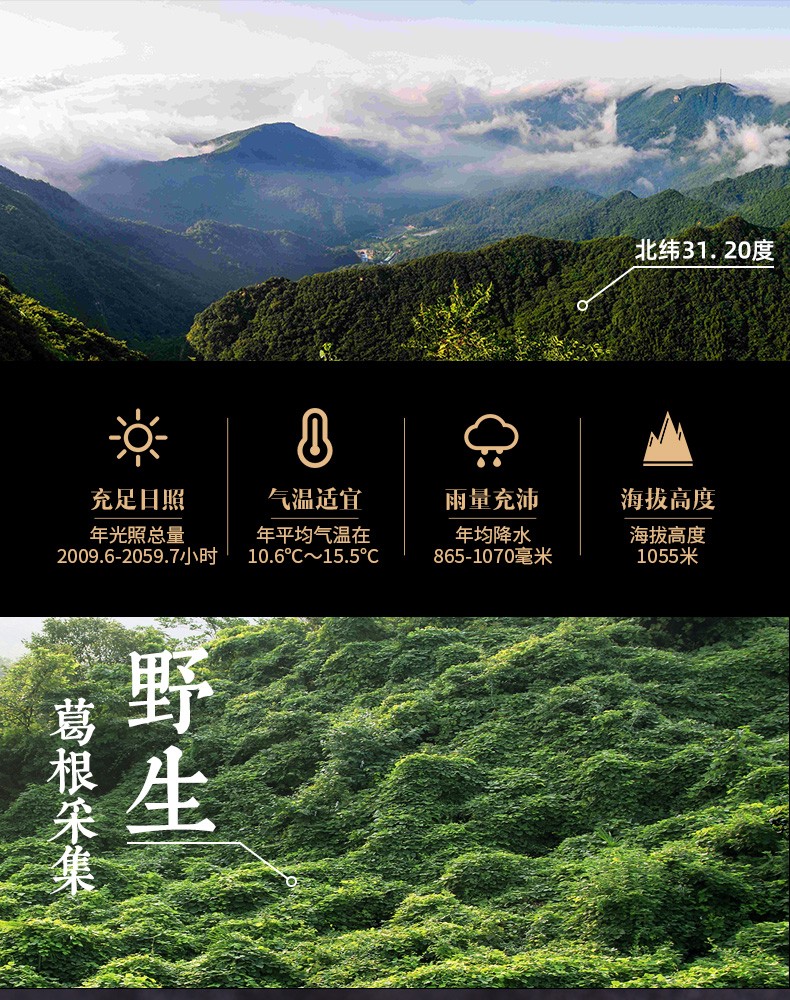 详情页3.jpg