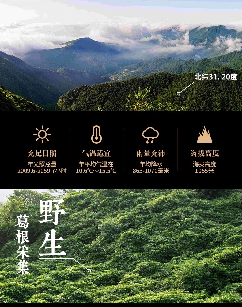 详情页3.jpg