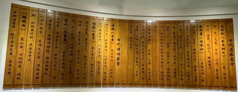葛根粉的药用古籍.jpg