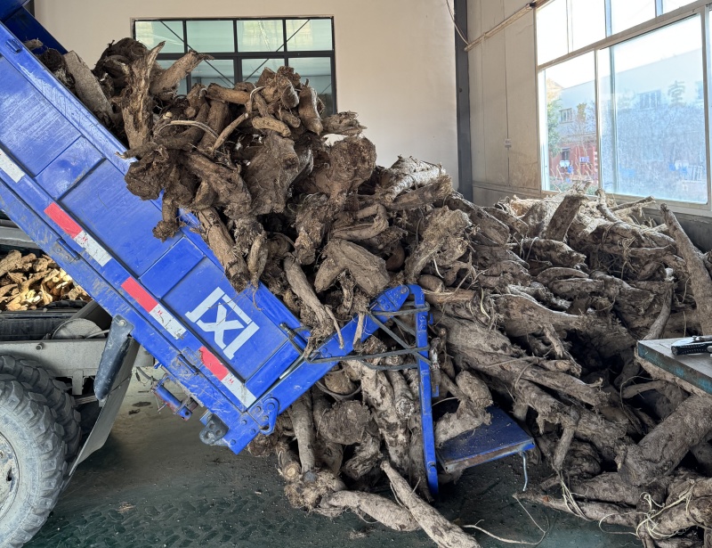 1765258937593888.jpg 微信图片_20251207160412_102_355.jpg