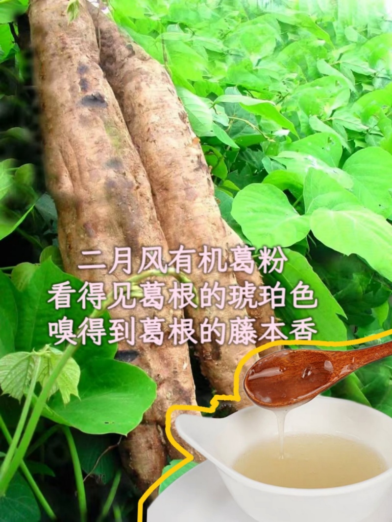 二月风有机葛粉，看得见葛根的琥珀色，嗅得到葛根的藤本香_800.jpg