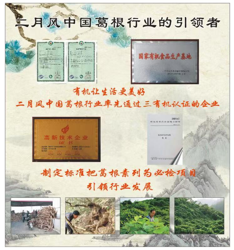 二月风中国葛根行业的引领者_副本.jpg