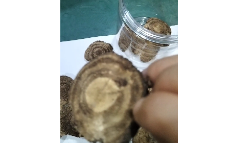 4 个细节识破假葛根：野生葛根片的形态密码与鉴别指南