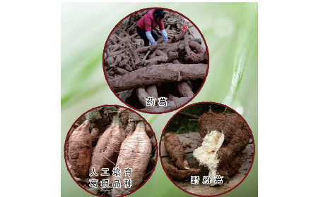 买葛粉是买野生的好？还是野生有机的好？