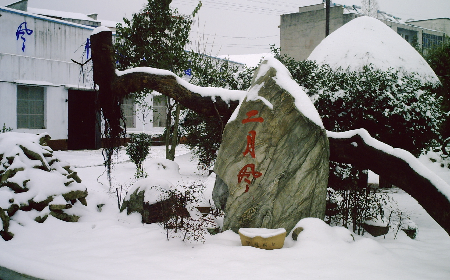 二月风致老友：一碗葛根粉的牵挂，农博会上的重逢之约二月风盼老友：农博会上，再续葛粉情缘