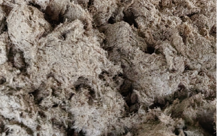 深入大洪山,只为一口纯净 -二月风今冬野生葛根收购纪实