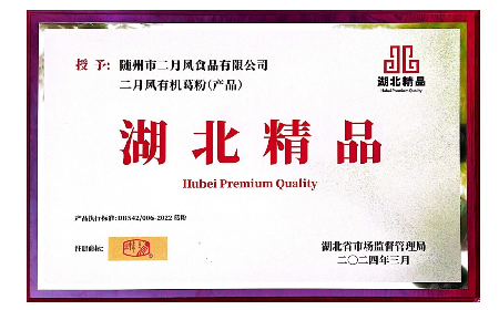 以善为帆，以质为舵 —— 二月风践行雷锋精神，传递时代温暖